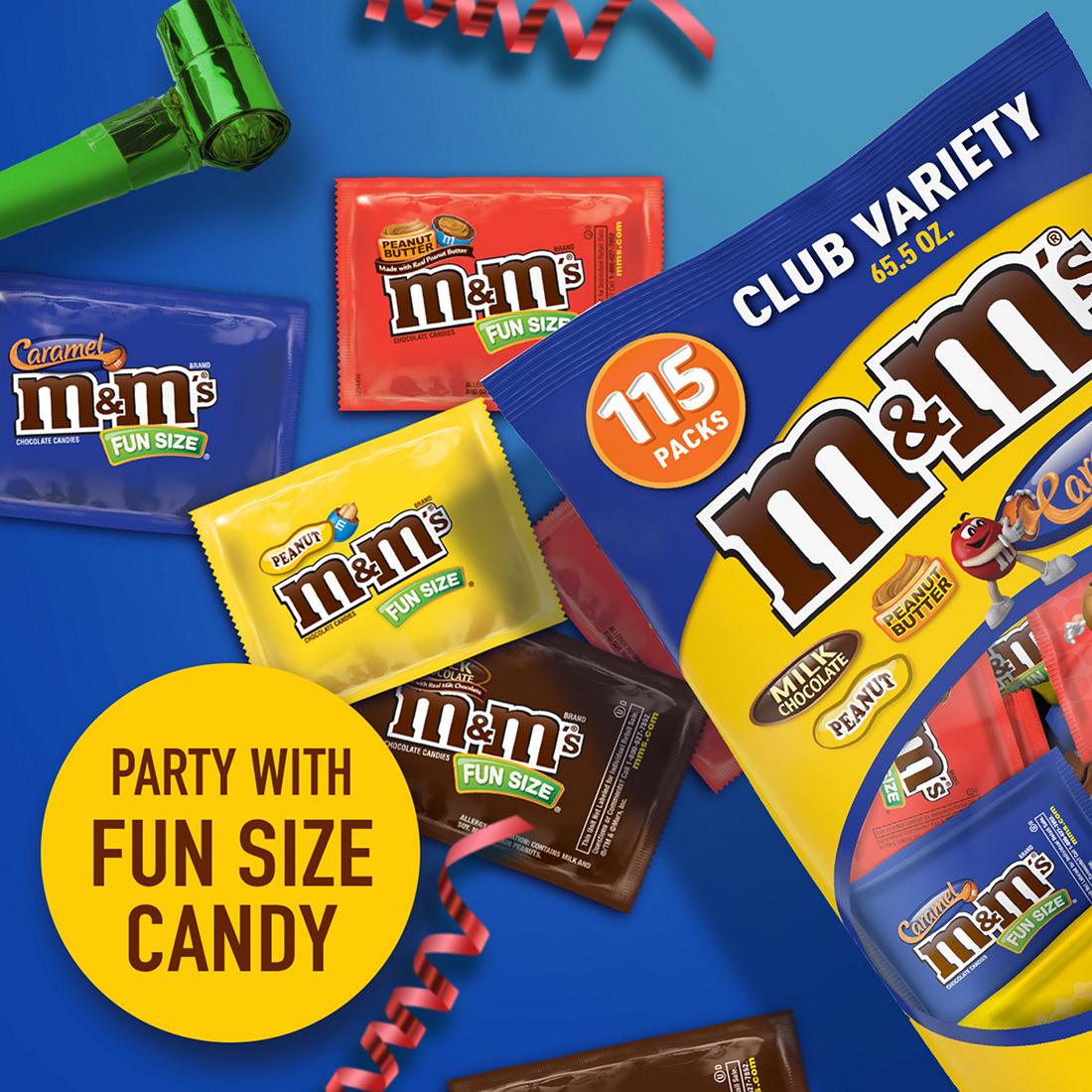 M&M\'s® Fun Size Variety Bag (145 Piece(s))